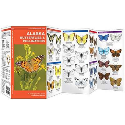 Alaska Butterflies & Pollinators: A Folding Pocket Guide to Familiar Species