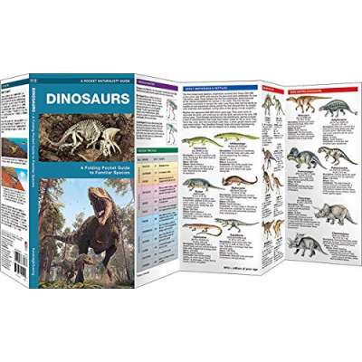 Dinosaur Books for Children :Dinosaurs: A Folding Pocket Guide to Familiar Species