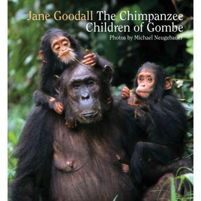 Chimpanzee Children of Gombe