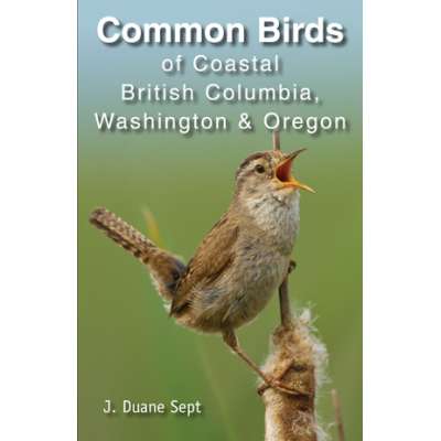Common Birds of Coastal British Columbia, Washington & Oregon