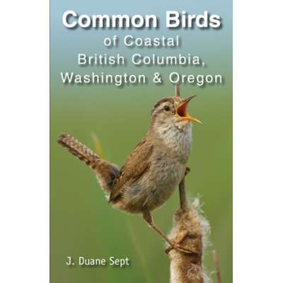 Common Birds of Coastal British Columbia, Washington & Oregon