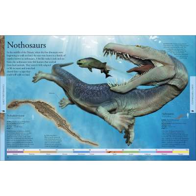 Dinosaurs, Fossils, Rocks & Geology Books :Dinosaurs: A Visual Encyclopedia, 2nd Edition