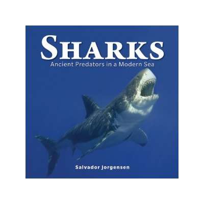 Sharks :Sharks: Ancient Predators in a Modern Sea (PAPERBACK)