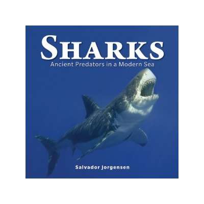 Sharks: Ancient Predators in a Modern Sea (PAPERBACK)