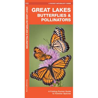Insect Identification Guides :Great Lakes Butterflies & Moths