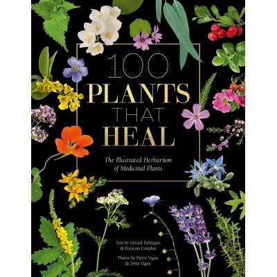 100 Plants that Heal: The illustrated herbarium of medicinal plants