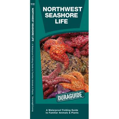Aquarium Gifts and Books :Northwestern Seashore Life