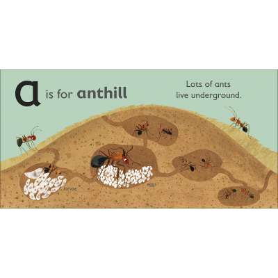 A is for Ant