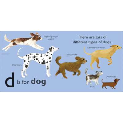 D is for Dog