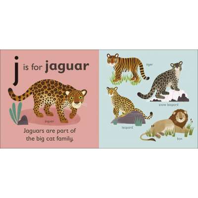 J is for Jaguar