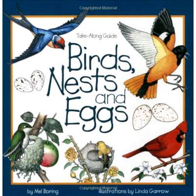 Take-Along Guide: Birds, Nests & Eggs