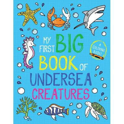 Coloring Books :My First Big Book of Undersea Creatures