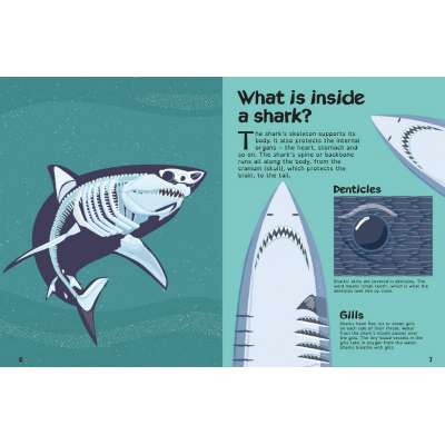 Sharks (Books with X-Ray Vision)