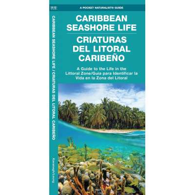 Caribbean Seashore Life (Criaturas Del Litoral Caribeno): A Guide to the Life in the Littoral Zone (Bilingual)