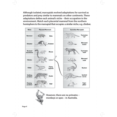 Dr. Jeff Meldrum's Relict Hominoid Fun and Learning Activity Workbook: Yowie Edition