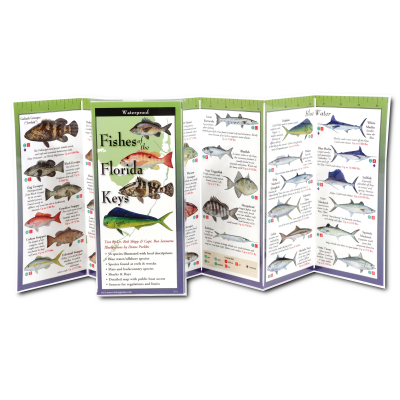 Fishes of the Florida Keys (Folding Guides)
