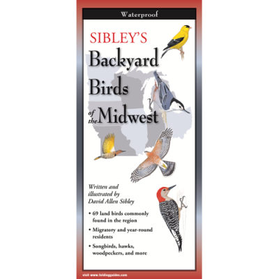 Birding :Sibley's Backyard Birds of the Midwest (Folding Guides)