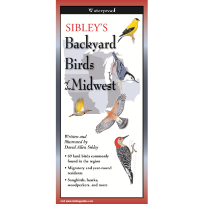 Sibley's Backyard Birds of the Midwest (Folding Guides)