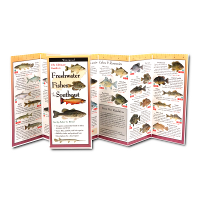 Fish & Sealife Identification Guides :Freshwater Fishes of the Southeast