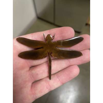 Dragonfly Magnet