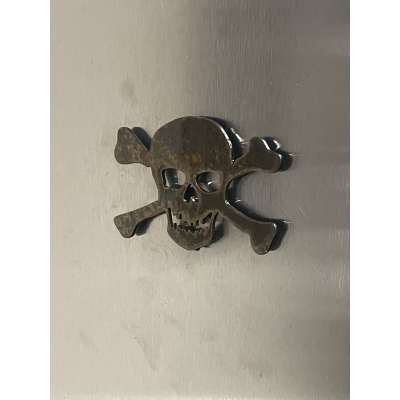 Pirate Books and Gifts :Skull & Crossbones MAGNET