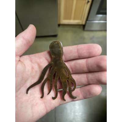Octopus Magnet