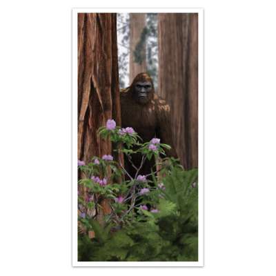 Sasquatch Poster 42" x 21"