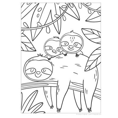 Coloring Books :Sloths Coloring Book: Awesome Coloring Pages with Fun Facts about Silly Sloths!