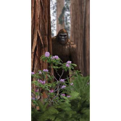 Bigfoot Novelty Gifts :Sasquatch Postcard #1 (10 PACK)