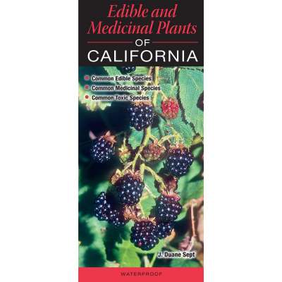 Edible and Medicinal Plants of California