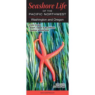 Pacific Coast / Pacific Northwest Field Guides :Seashore Life of the Pacific Northwest: Washington and Oregon