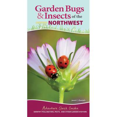 Insect Identification Guides :Garden Bugs & Insects of the Northwest: Identify Pollinators, Pests, and Other Garden Visitors