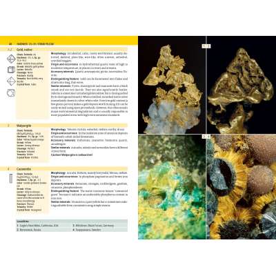 Rocks, Fossils & Geology :The Minerals Encyclopedia: 700 Minerals, Gems and Rocks