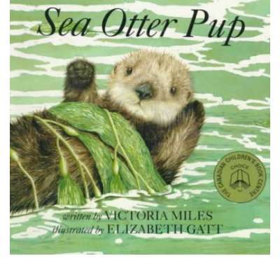 Sea Otter Pup: Board Book