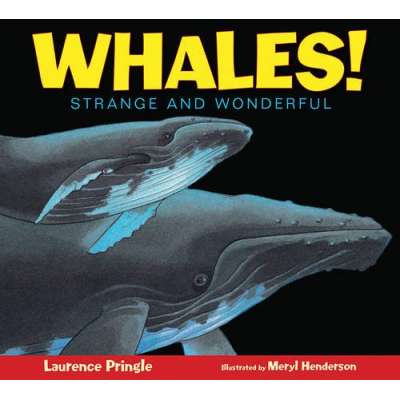 Whales!: Strange and Wonderful