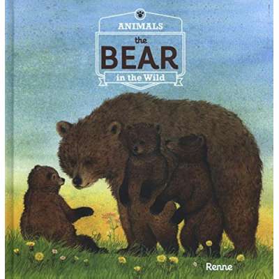 Animals in the Wild: The Bear