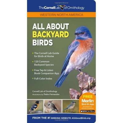 Bird Identification Guides :All About Backyard Birds: Western North America