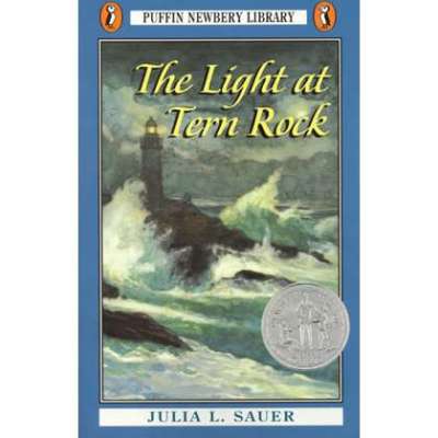 Young Adult & Children's Novels :Light at Tern Rock