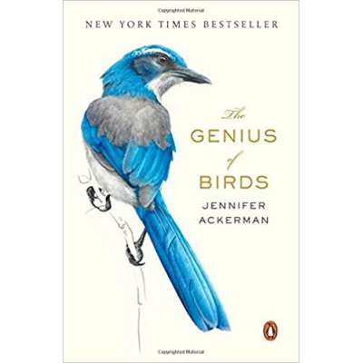 The Genius of Birds