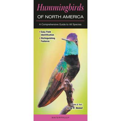 Hummingbirds of North America