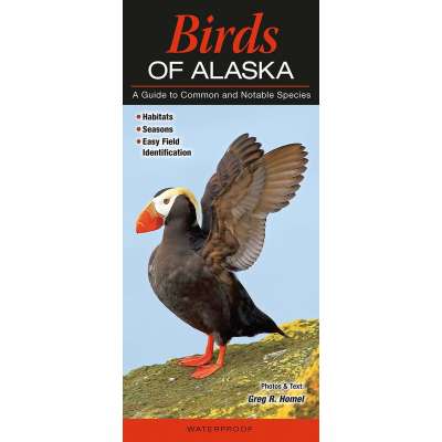 Birds of Alaska
