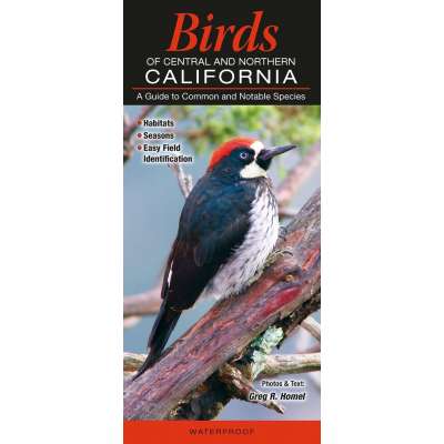 Bird Identification Guides :Birds of Central & Northern California
