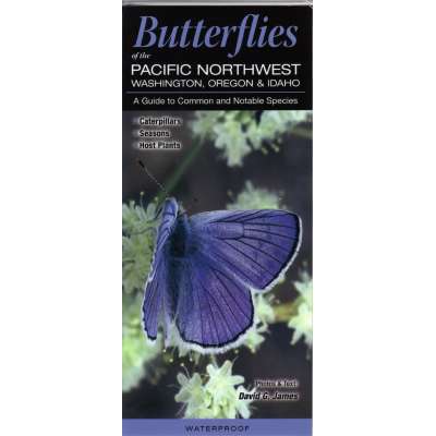 Insect Identification Guides :Butterflies of the Pacific Northwest: Washington, Oregon and Idaho