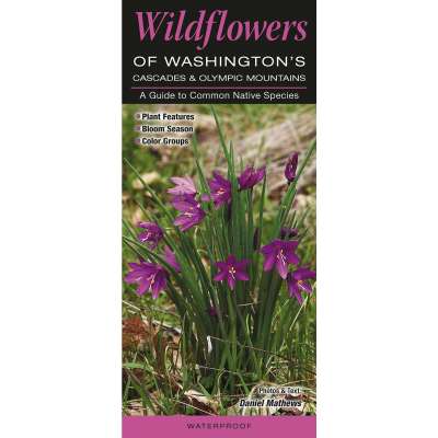 Wildflowers of Washington’s Cascade and Olympic Mountains (Quick Reference Guides)