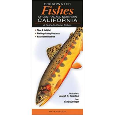 Fish & Sealife Identification Guides :Freshwater Fishes of Central & Northern California