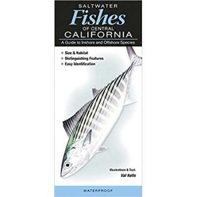 California :Saltwater Fishes of Southern California : A Guide to Inshore and Offshore Species