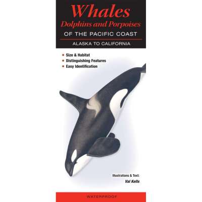 Whales, Dolphins and Porpoises of the Pacific Coast: Alaska to California