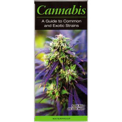 Cannabis: A Guide to Common and Exotic Strains