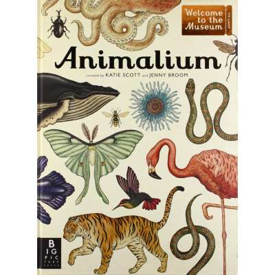 Animalium (Welcome to the Museum Series)