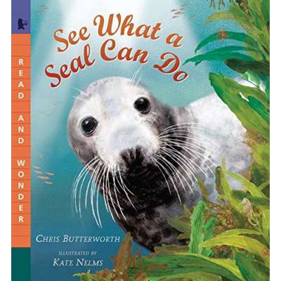 See What a Seal Can Do